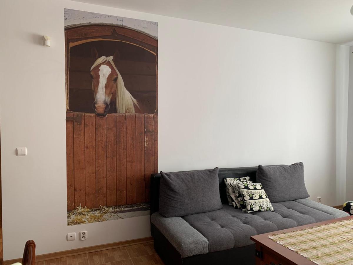 Zawsze Sloneczny Apartament Grzybowo Grzybowo  Eksteriør billede