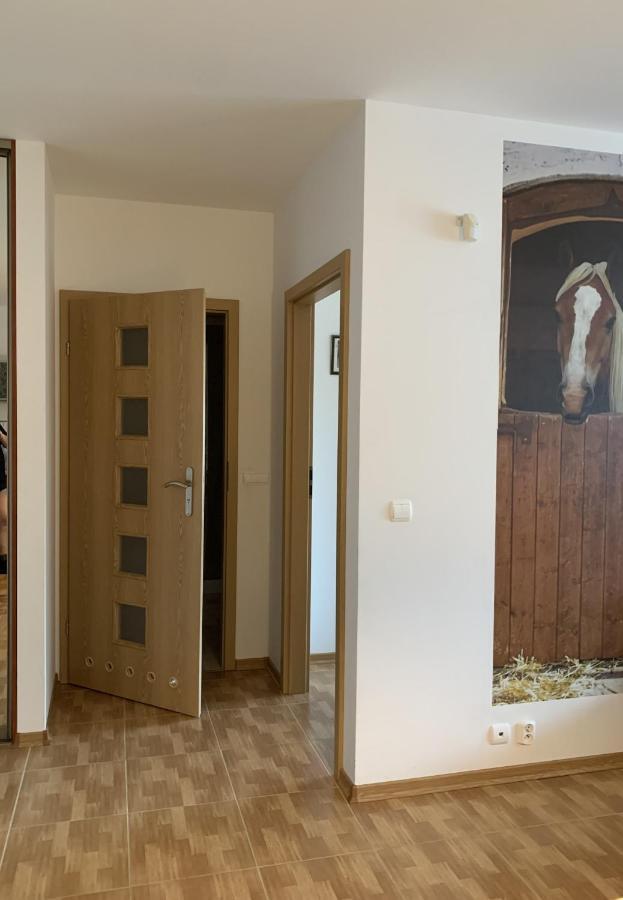 Zawsze Sloneczny Apartament Grzybowo Grzybowo  Eksteriør billede